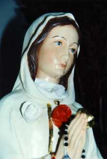 Rosa Mystica in tears